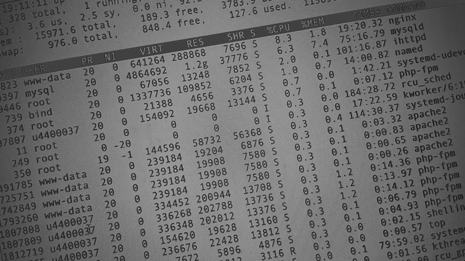 Настройка сервера в Буинске