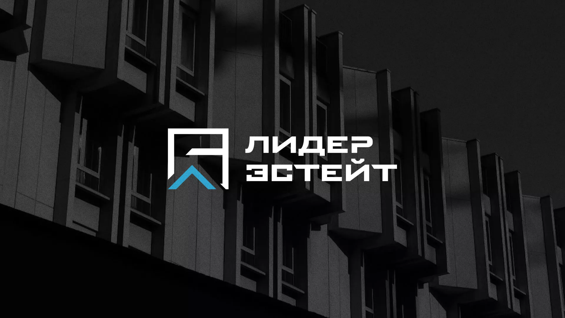 Разработка логотипа агентства недвижимости «Лидер Эстейт» в Буинске