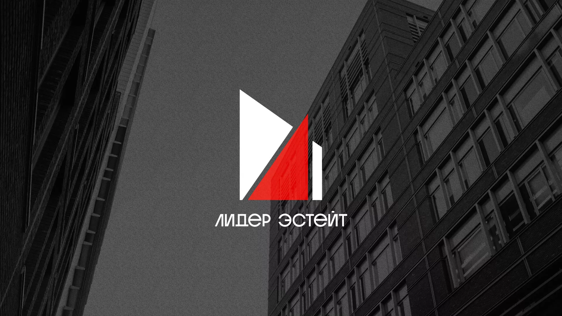 Сделали логотип для агентства недвижимости «Лидер Эстейт» в Буинске
